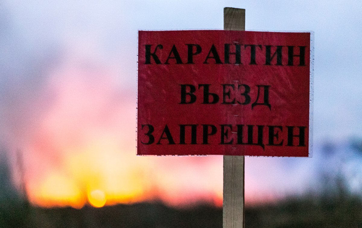 Карантин по бешенству введён в двух округах Нижегородской области