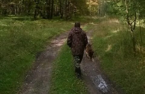 В июле в Нижегородской области пропали 187 человек