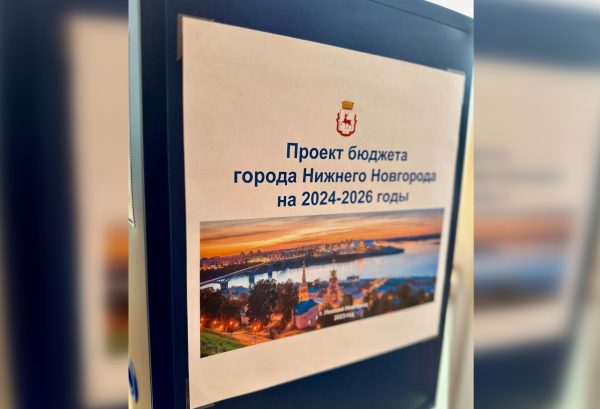 На охрану природы в бюджете Нижнего Новгорода на 2026 год заложено 4,6 млрд