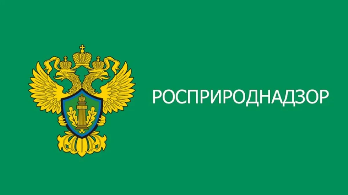 Росприроднадзор предупредил станцию аэрации на Гребном канале о нарушении экологических требований