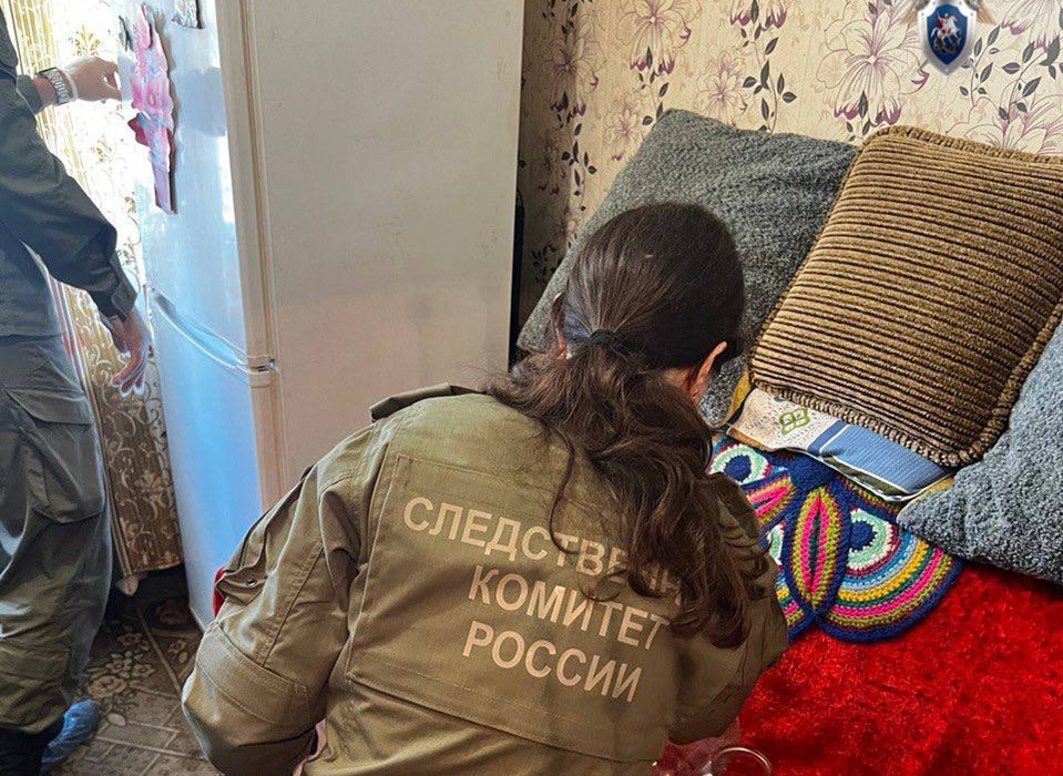 В Балахне ищут источник суррогатного алкоголя после гибели пяти человек