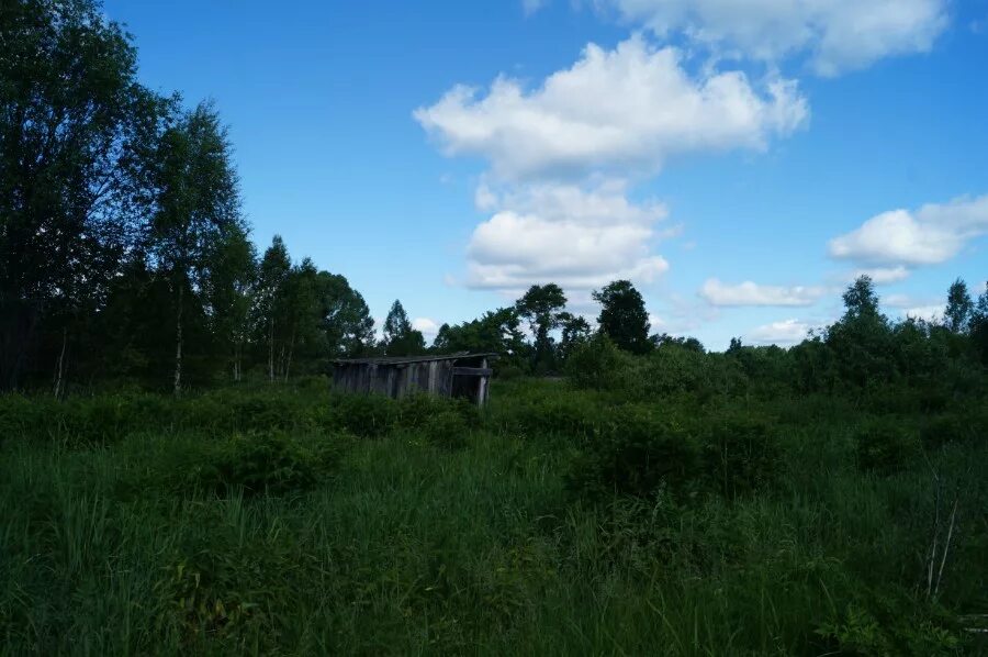 В Нижегородской области предложили упразднить поселок Пиштань
