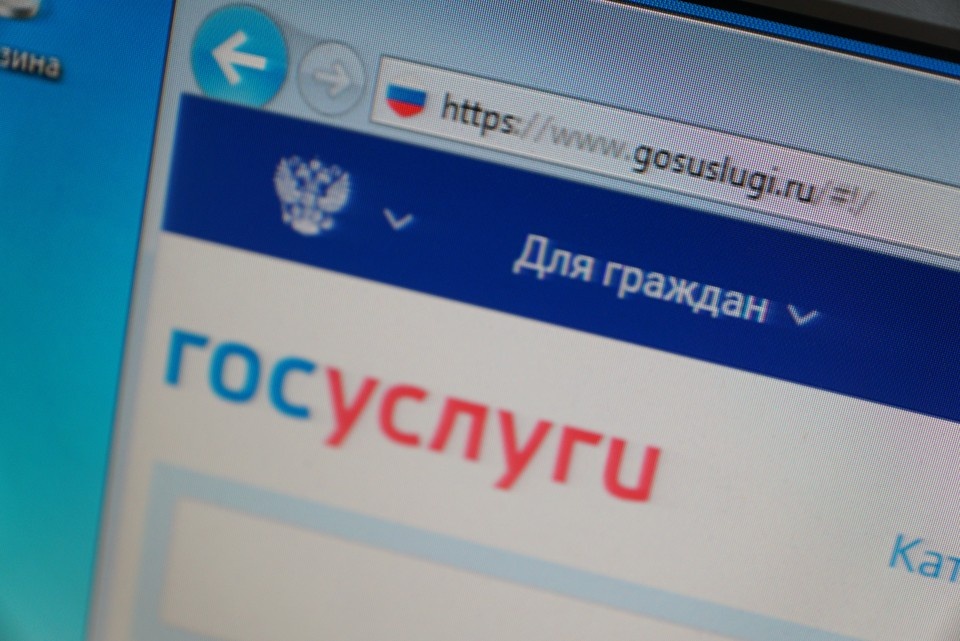 В Нижегородской области мошенники взломали «Госуслуги» местной жительницы