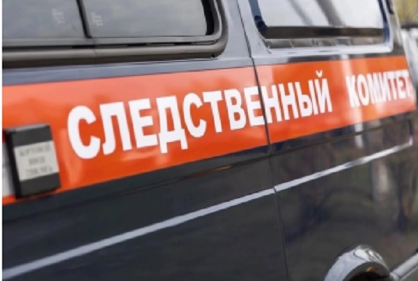 Директора двух нижегородских организаций похитили почти 7 млн рублей