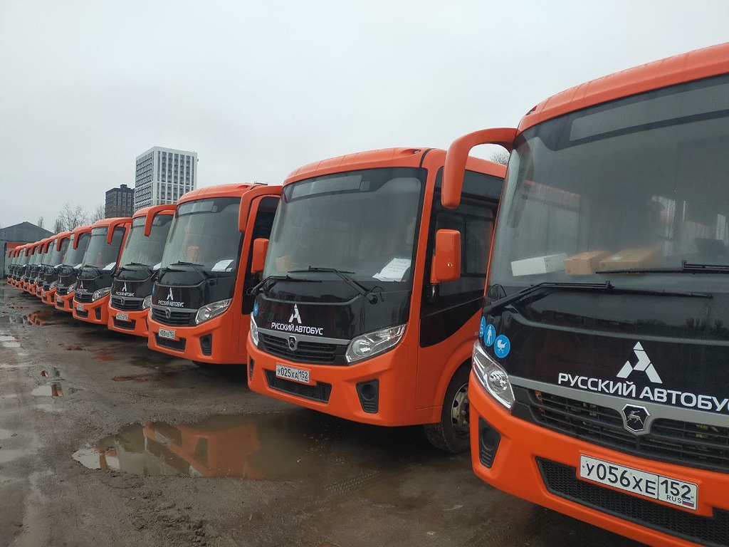 В Нижний Новгород поступили ещё 50 новых автобусов