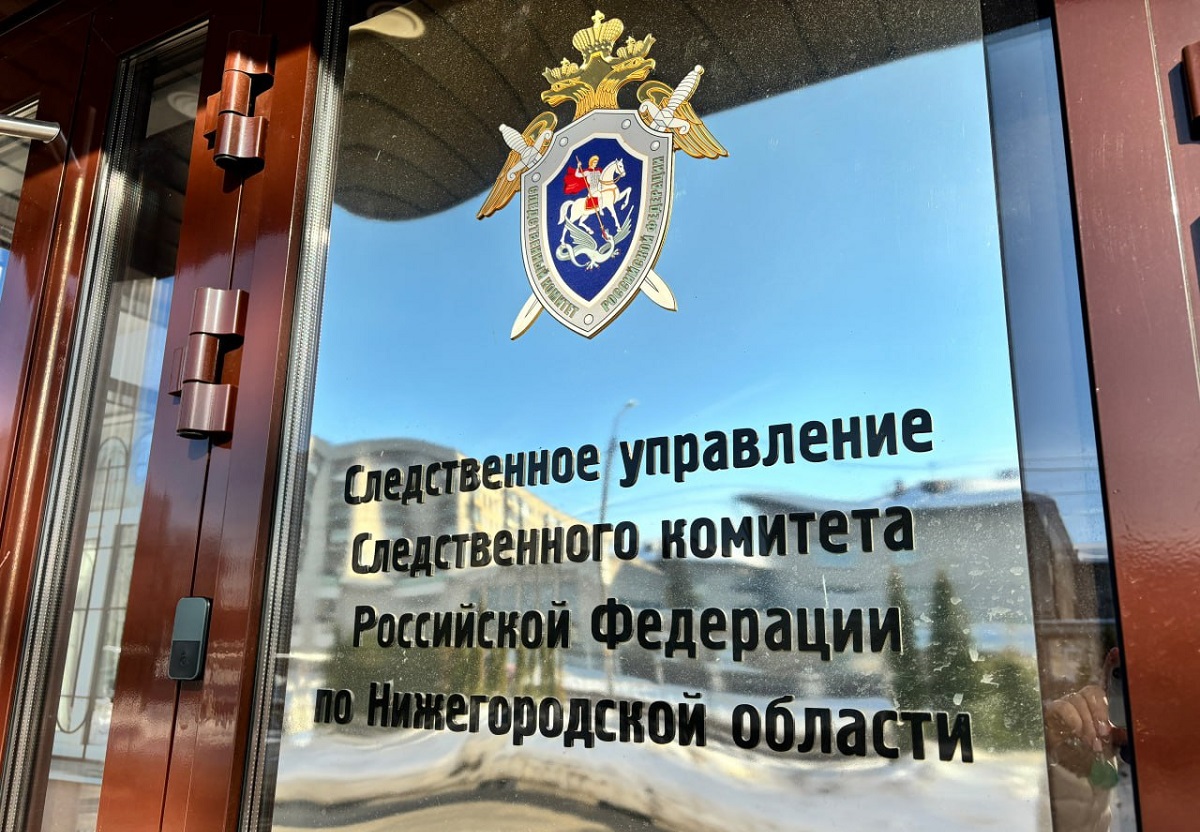 Бастрыкину предоставят доклад по делу о травмировании 12-летнего арзамасца