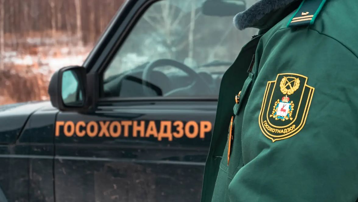 В Нижегородской области с начала года выявили более 30 нарушений правил охоты