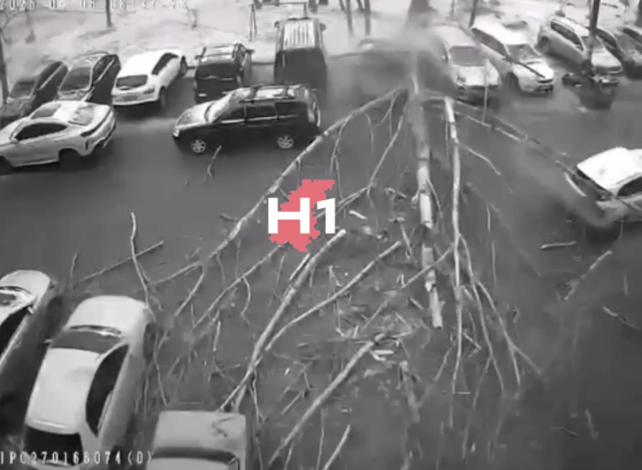 Момент падения дерева на автомобили на Мещере попал на видео