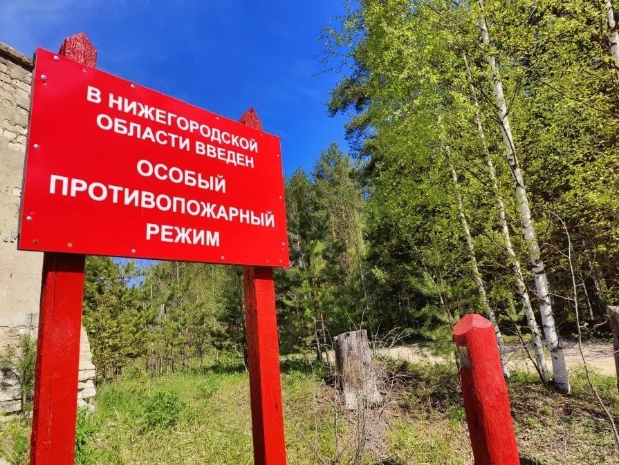 В нижегородских лесах установился высокий класс пожарной опасности