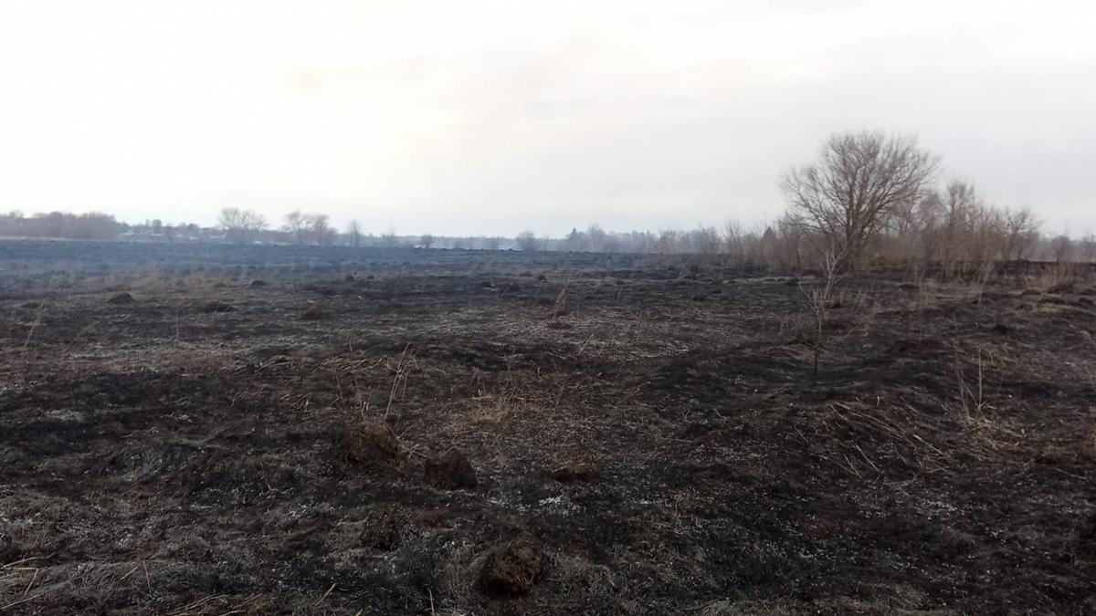 Огненные сутки: в Нижегородской области выгорело более четырех гектаров полей