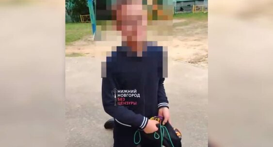 В школе №117 Сормовского района проводят проверку после нового инцидента с учеником