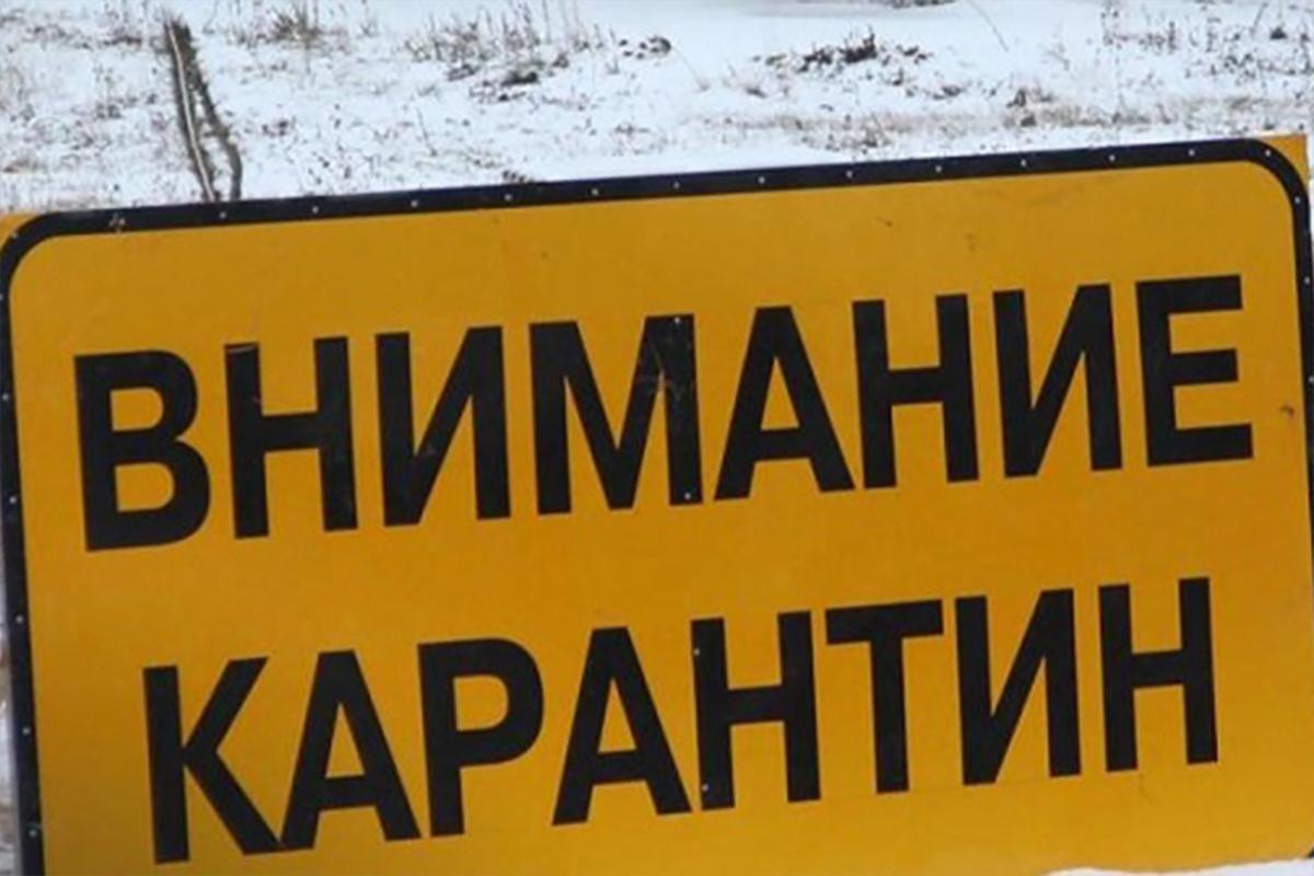 Карантинные ограничения по бешенству установили в Кстовском районе