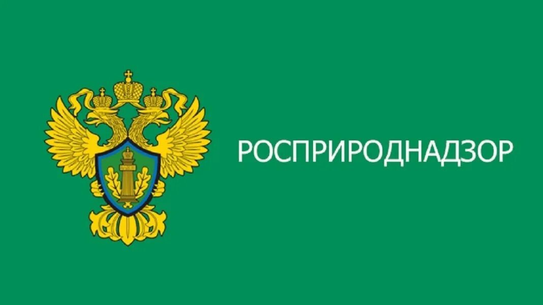 Росприроднадзор начал внеплановую проверку «Нижегородского водоканала»