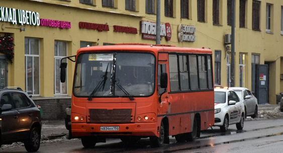 Нижегородцы поддержали сохранение автобусного маршрута №38 до Мещеры