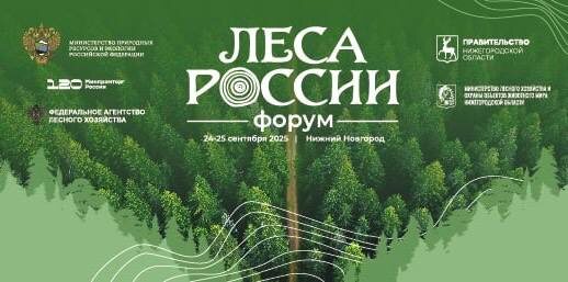 Форум «Леса России-2025» проходит в Нижегородской области