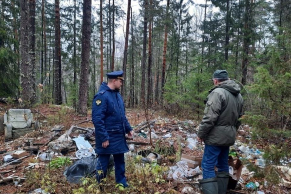 «Свалку и незаконные постройки выявили в нацпарке под Нижним Новгородом»