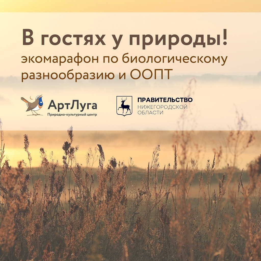 Нижегородцев приглашают к участию в семейном экомарафоне «В гостях у природы»