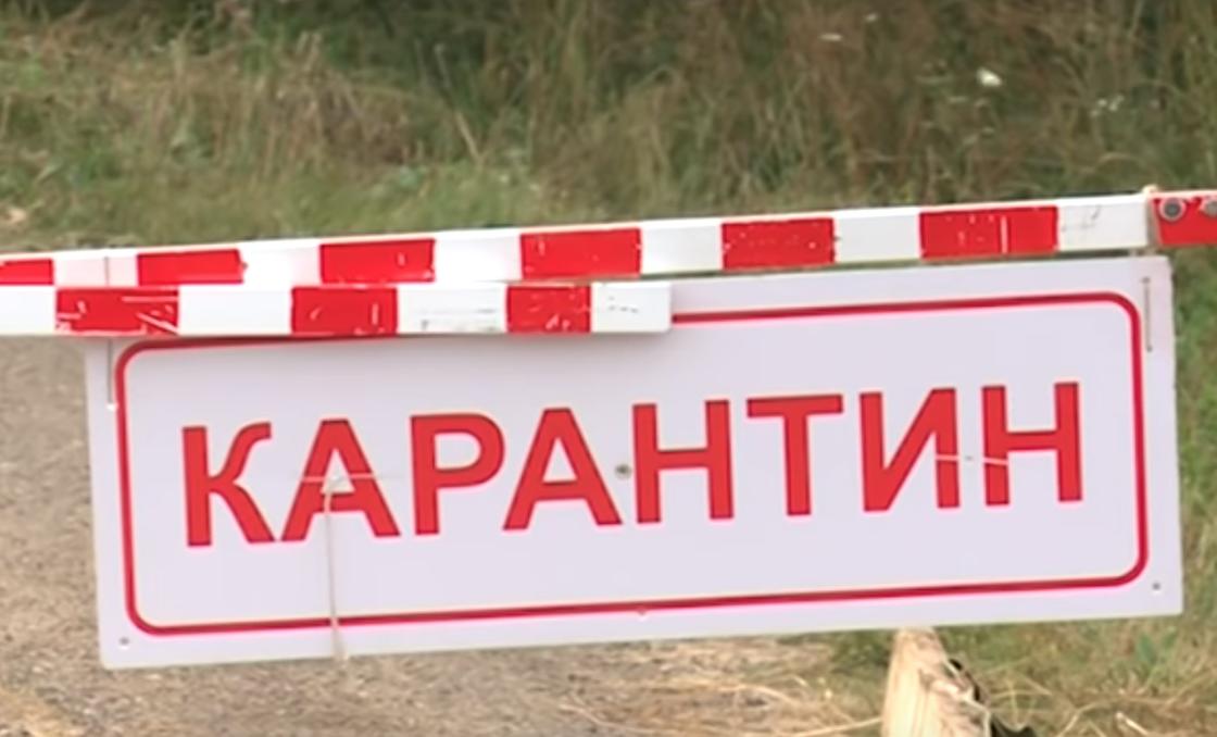 Карантин по бешенству ввели в двух округах Нижегородской области