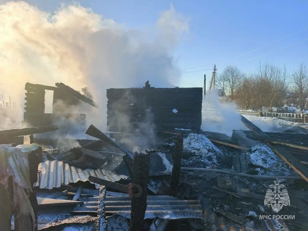 В Первомайском округе на пожаре в селе Кошелиха погиб 70-летний мужчина