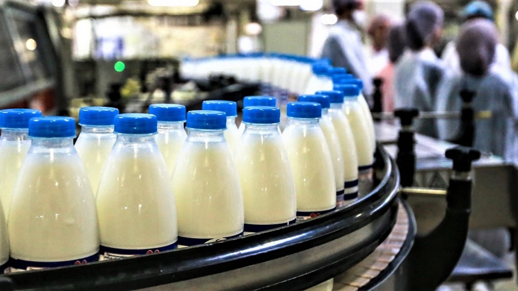 В Нижегородской области изъяли 50 тонн молочной продукции без документов