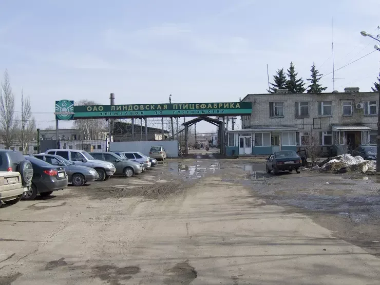 Птицефабрику в Нижегородской области могут признать банкротом