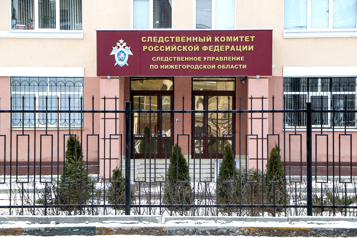 Бастрыкин вмешался: в Павлове разбитую дорогу проверит Следственный комитет