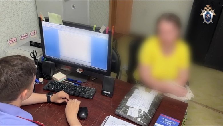 На нижегородку завели дело за распространение фейков о российской армии