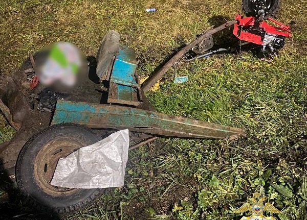 В Большеболдинском округе возбуждено дело после смертельного ДТП