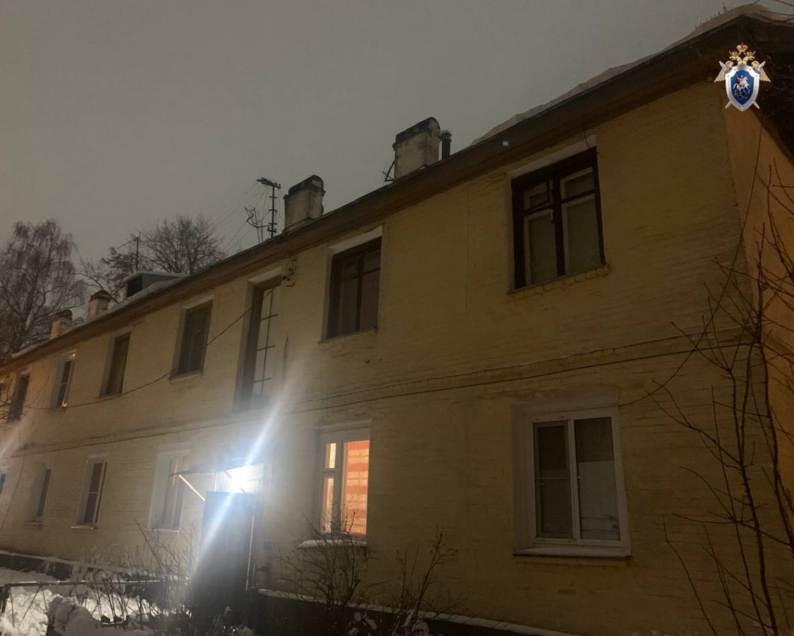 Глыба льда с крыши травмировала девушку в Выксе