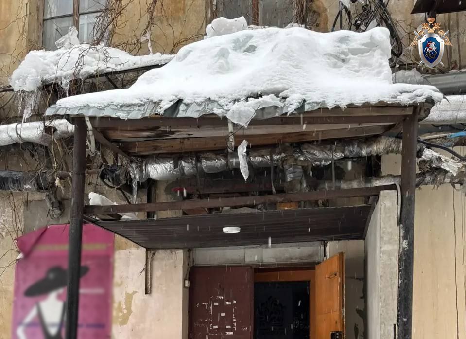 Директор нижегородской НКО ответит в суде за травмы шестерых детей