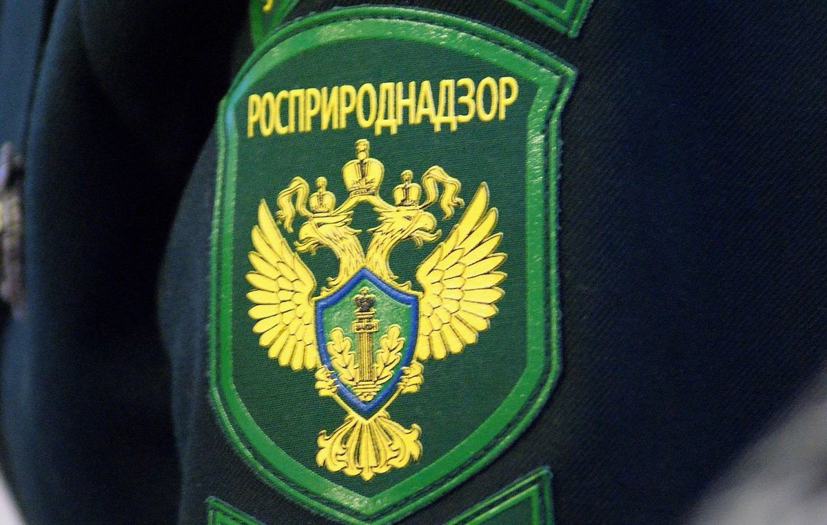 НВОС: Росприроднадзор проверяет, как нижегородские компании платят экосбор