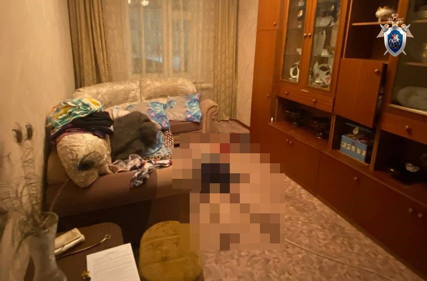 В Богородском округе задержали мужчину по делу об убийстве 65-летней женщины