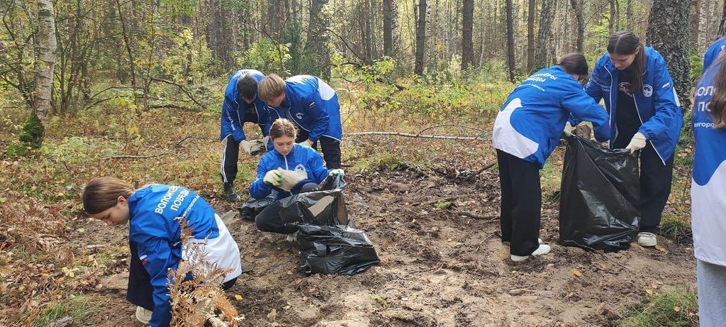 В борских лесах собрали 120 кубометров мусора на экосубботнике