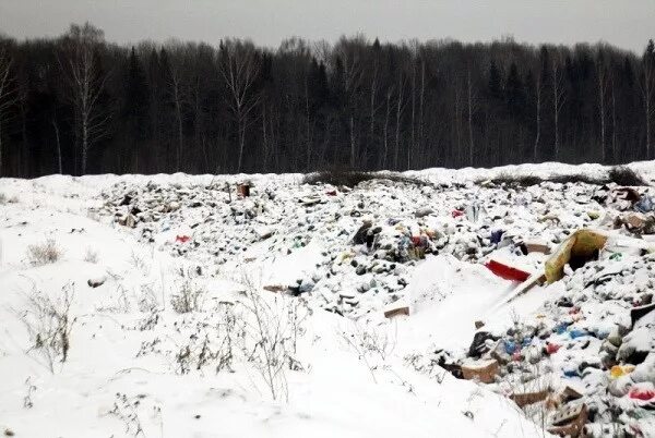 Более 700 млн рублей требуют с нижегородских полигонов ТКО за вред природе