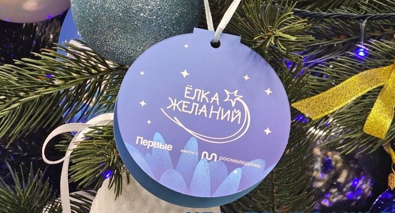 В Нижегородской области запустили акцию для беременных, отказавшихся от абортов