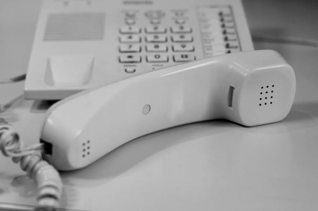 В Нижнем Новгороде до 5 сентября работает «горячая линия» по вопросам учебного года