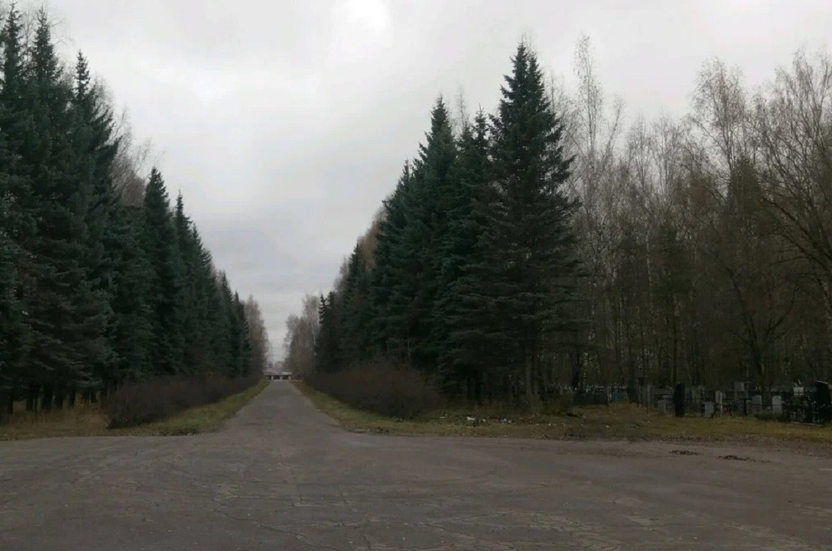 Городские кладбища Нижнего Новгорода расчистят за 8 млн рублей