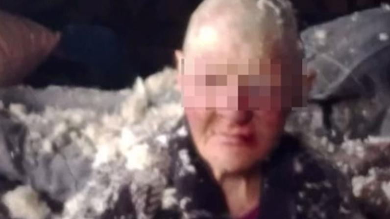 Бастрыкин затребовал доклад по делу об издевательствах над пенсионеркой в Городецком округе