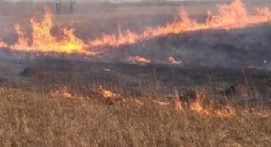 Крупное возгорание сухой травы ликвидировали в деревне Кусаковка