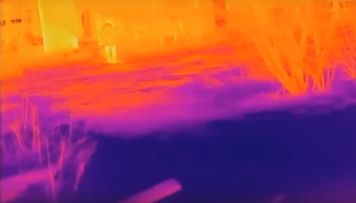 Предотвращение теракта силовиками в Нижегородской области попало на видео