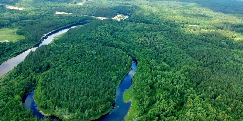 Жителя Пермского края осудили в Нижнем Новгороде за контрабанду леса