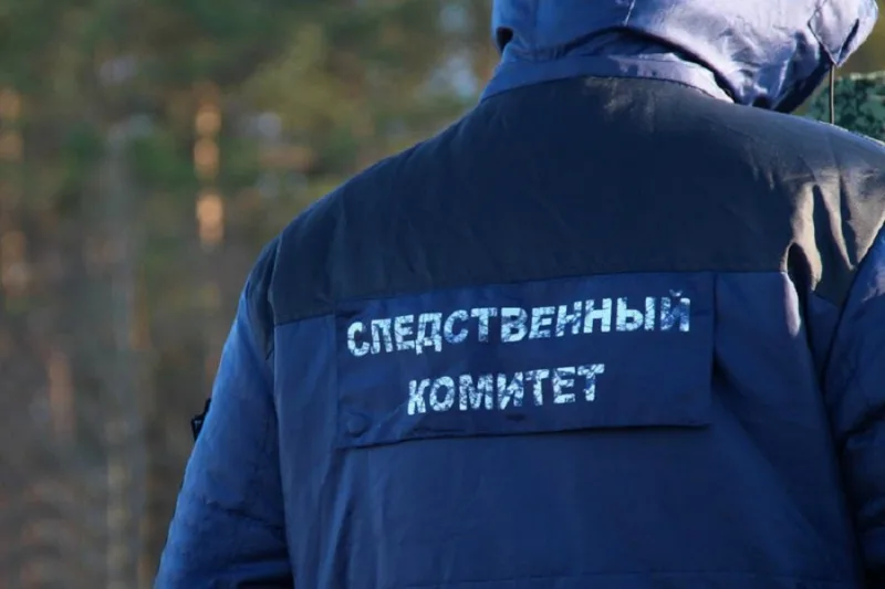 В Городце возбудили уголовное дело о жестоком обращении с детьми в детсаду