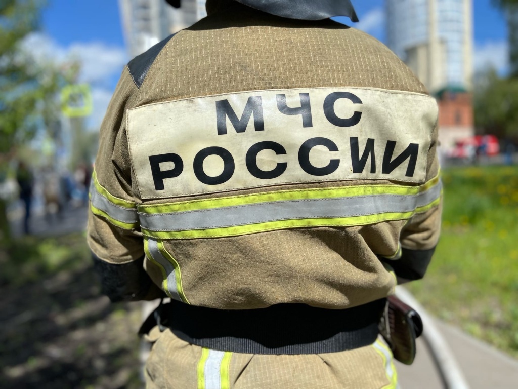 Высокая пожароопасность лесов объявлена в Нижегородской области