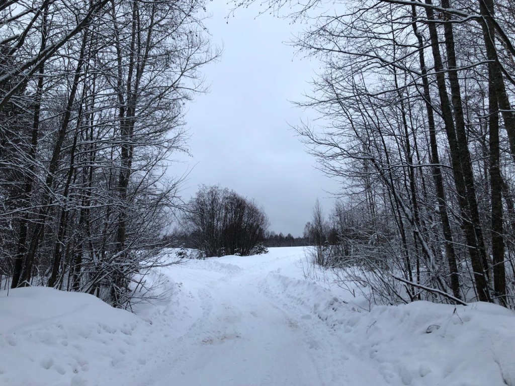 118 человек исчезли в Нижегородской области в январе