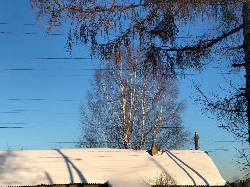 17-градусные морозы установятся в Нижнем Новгороде во второй половине февраля