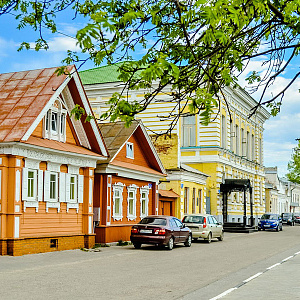 В Городце хотят остановить благоустройство сквера после сообщений о черепах