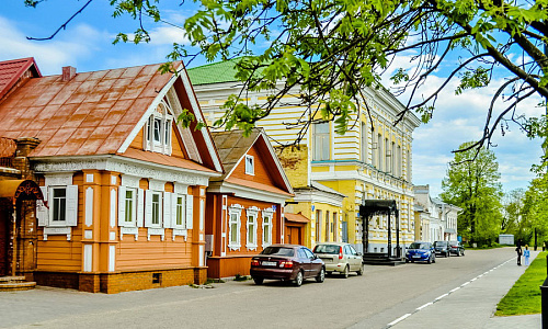 В Городце хотят остановить благоустройство сквера после сообщений о черепах