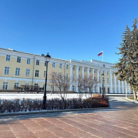Нижегородское Заксобрание закупит шары и фигурки за 1,1 млн рублей