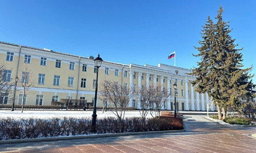 Нижегородское Заксобрание закупит шары и фигурки за 1,1 млн рублей