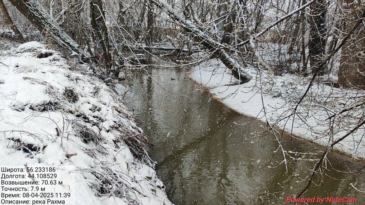 Нижегородское Минэкологии не подтвердило побеление воды в Рахме